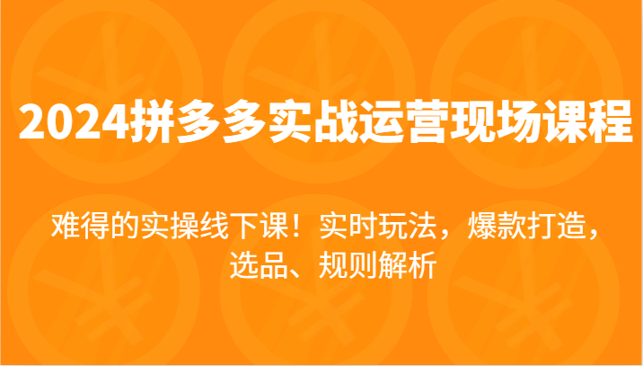 2024拼多多实战运营现场课，实时玩法，爆款打造，选品、规则解析，难得的实操线下课！ - 中赚网创-中赚网创