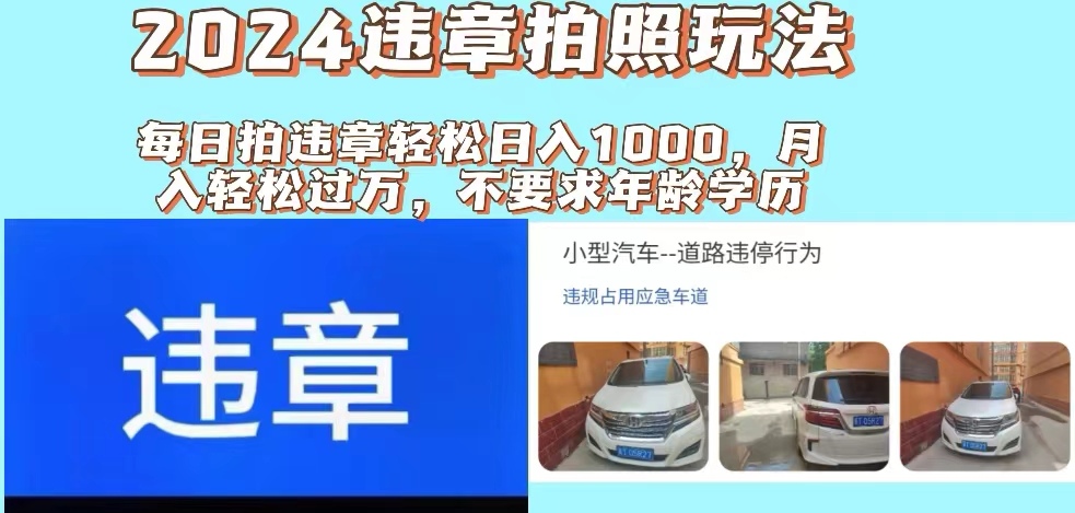 （11743期）2024违章拍照新玩法，推广躺赚+拍照赚钱双模式，日入1000+ - 中赚网创-中赚网创