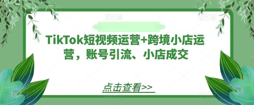 TikTok短视频运营+跨境小店运营，账号引流、小店成交 - 中赚网创-中赚网创