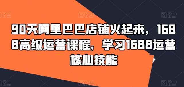 90天阿里巴巴店铺火起来，1688高级运营课程，学习1688运营核心技能 - 中赚网创-中赚网创