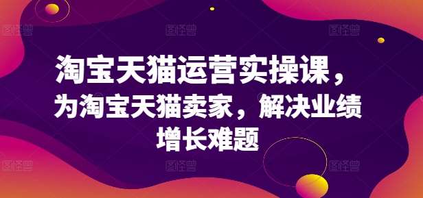 淘宝天猫运营实操课，为淘宝天猫卖家，解决业绩增长难题 - 中赚网创-中赚网创