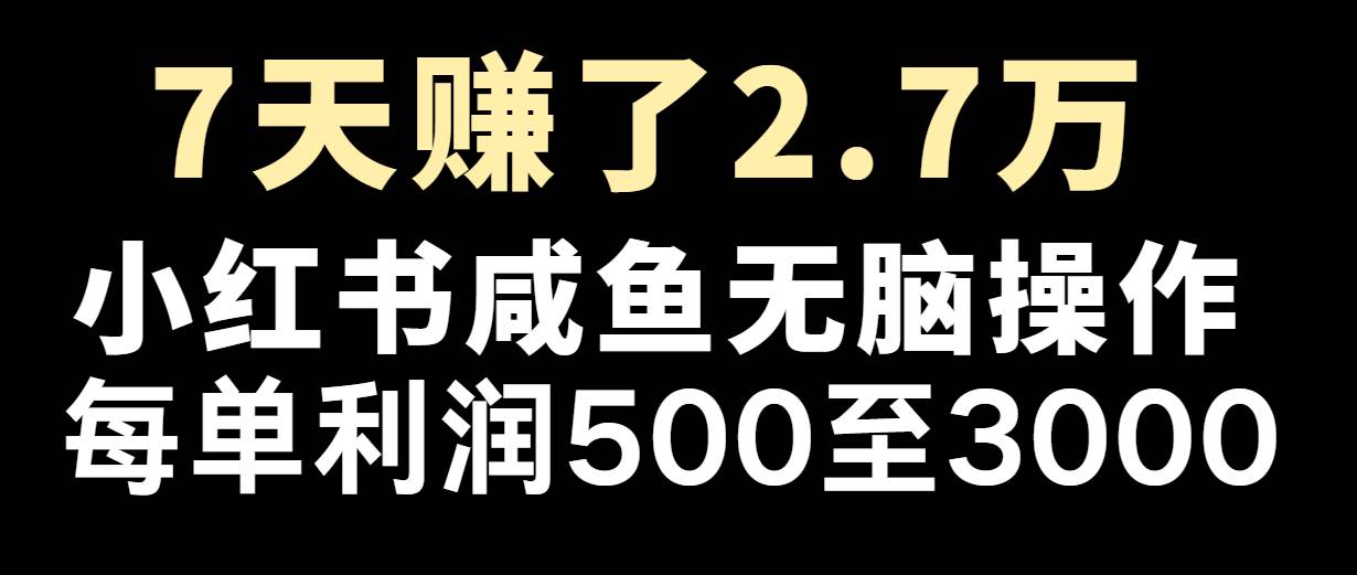 七天赚了2.7万！每单利润最少500+，轻松月入5万+小白有手就行 - 中赚网创-中赚网创