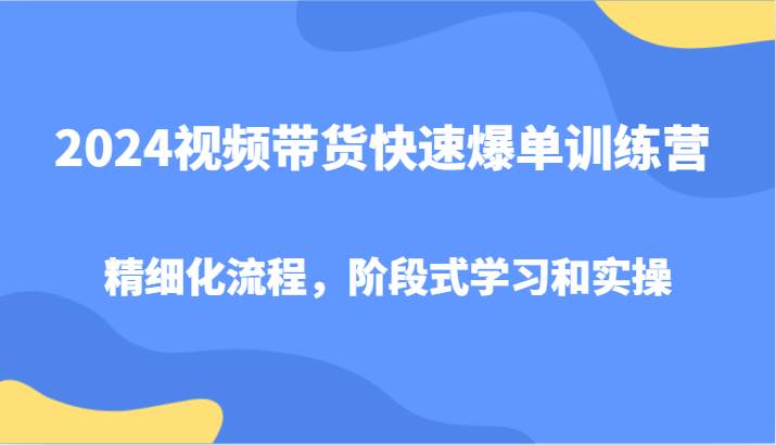 2024视频带货快速爆单训练营，精细化流程，阶段式学习和实操 - 中赚网创-中赚网创