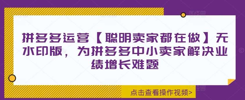 拼多多运营【聪明卖家都在做】无水印版，为拼多多中小卖家解决业绩增长难题 - 中赚网创-中赚网创