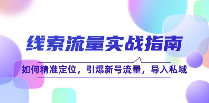 （12382期）线 索 流 量-实战指南：如何精准定位，引爆新号流量，导入私域 - 中赚网创-中赚网创