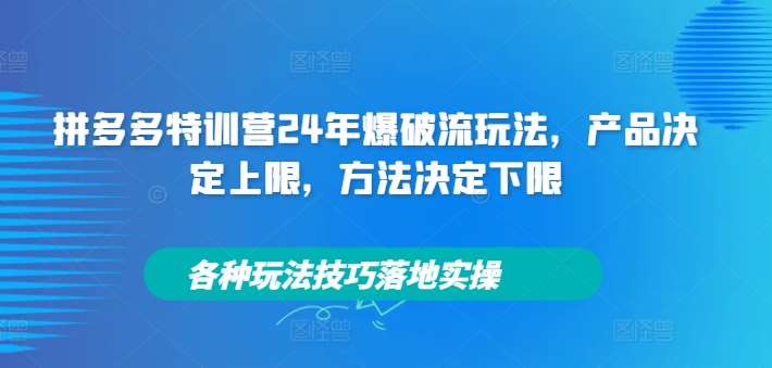 拼多多特训营24年爆破流玩法，产品决定上限，方法决定下限，各种玩法技巧落地实操 - 中赚网创-中赚网创