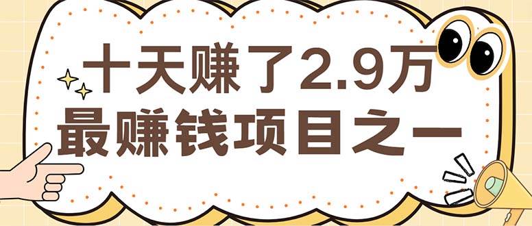 （12491期）闲鱼小红书赚钱项目之一，轻松月入6万+项目 - 中赚网创-中赚网创