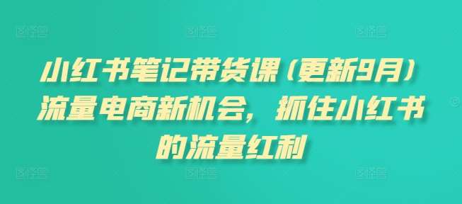 小红书笔记带货课(更新9月)流量电商新机会，抓住小红书的流量红利 - 中赚网创-中赚网创