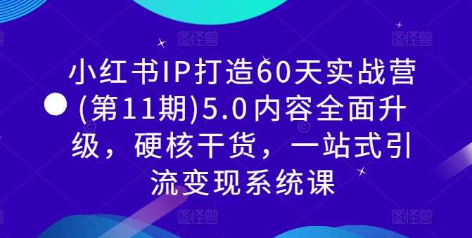 小红书IP打造60天实战营(第11期)5.0​内容全面升级，硬核干货，一站式引流变现系统课 - 中赚网创-中赚网创