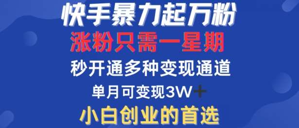 快手暴力起万粉，涨粉只需一星期，多种变现模式，直接秒开万合，单月变现过W【揭秘】 - 中赚网创-中赚网创